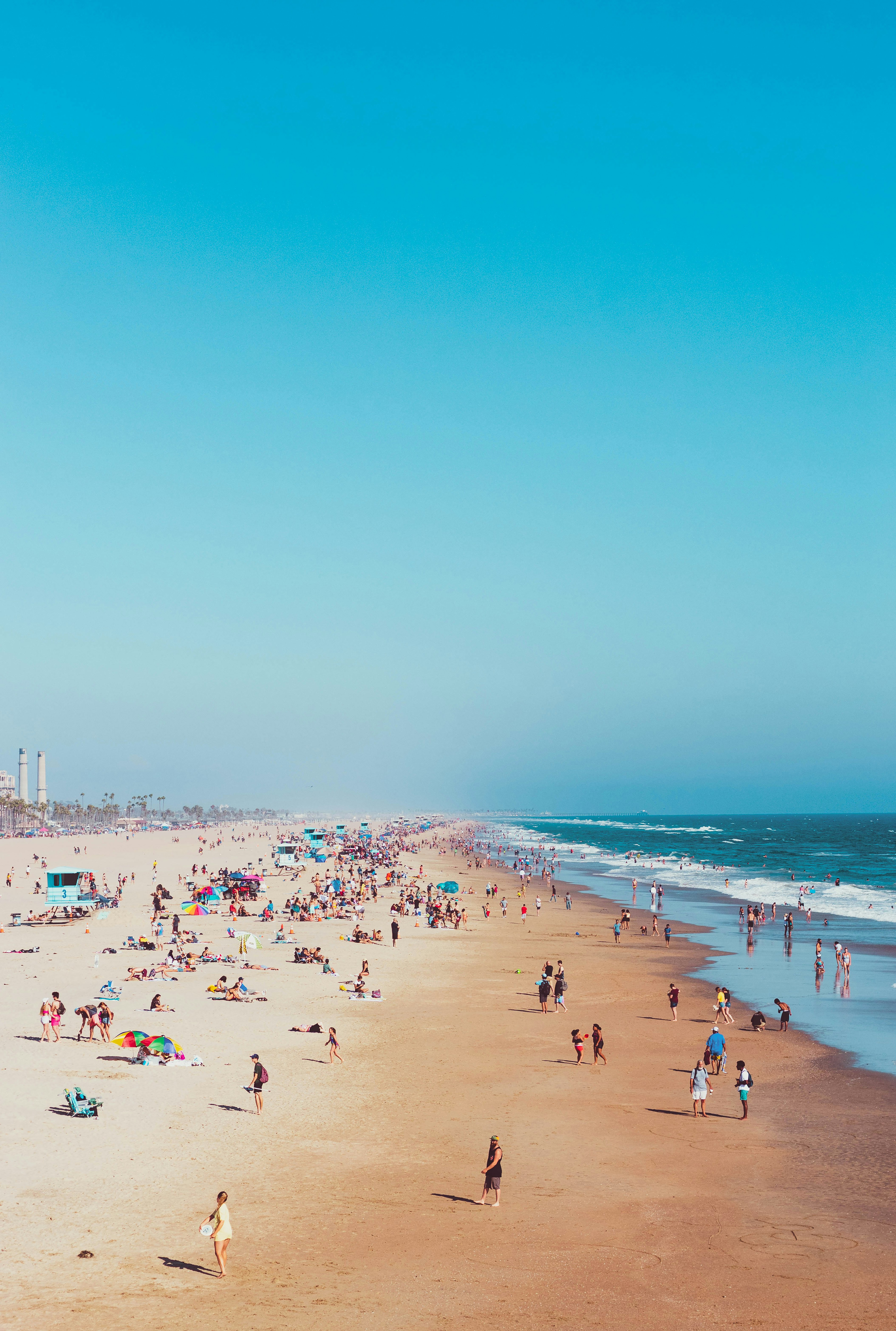 people on beach during daytime